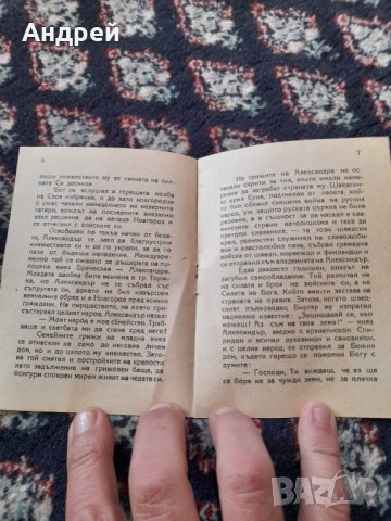 Стара книга Св.Александър Невски, снимка 3 - Художествена литература - 42388713