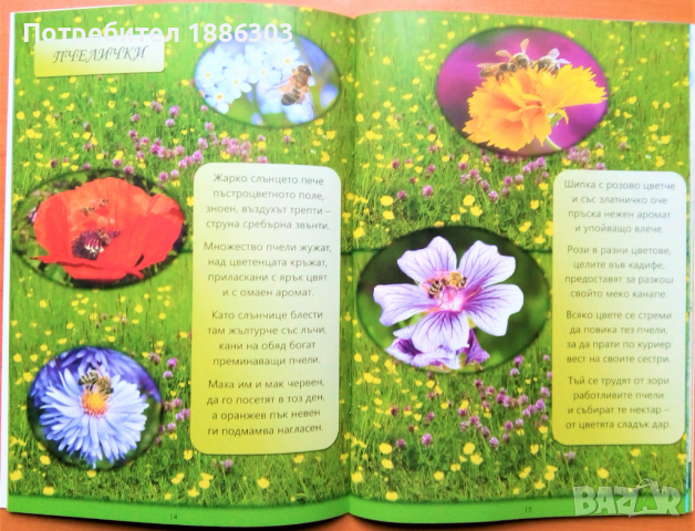 Детска стихосбирка с художествена фотография, снимка 2 - Други - 32652632