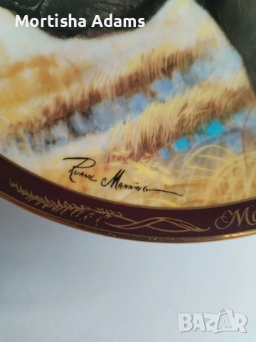 Royal Doulton- колекционерска чиния, снимка 4 - Колекции - 52118493