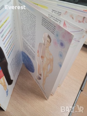 Човешкото тяло," прозрачна " енциклопедия от 1993 г., снимка 10 - Енциклопедии, справочници - 39007785