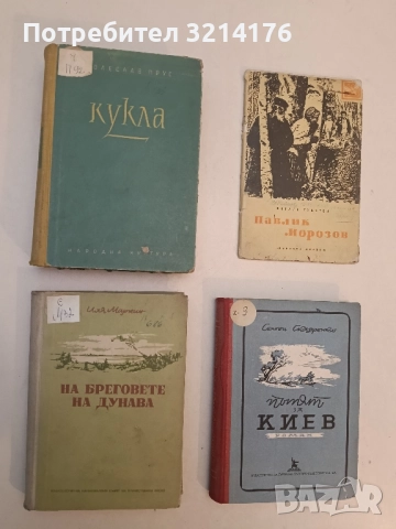 На бреговете на Дунава - Иля Маркин