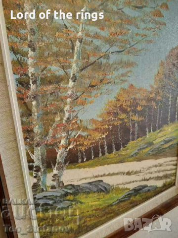 Красива авторска картина. Масло върху платно с подпис, снимка 2 - Картини - 44655025