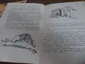 Две детски книги , снимка 7