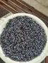 Продавам домашен компот от черни (горски) боровинки, снимка 3