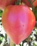 6 сорта семена домати за 10 лева, снимка 4