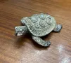 Малка костенурка с кристалчета, снимка 1