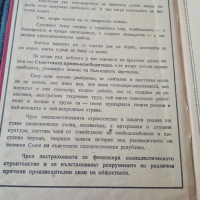 Стара застрахователна книжка ДЗИ от 50-те г. , снимка 3 - Колекции - 36299412