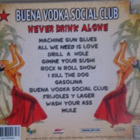 Leningrad Cowboys - Buena Vodka Social Club [2011] CD, снимка 3 - CD дискове - 40305761