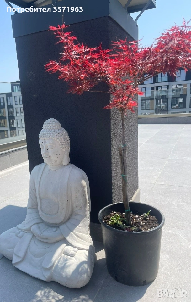 Буда декорация за двор/градина буда, снимка 1