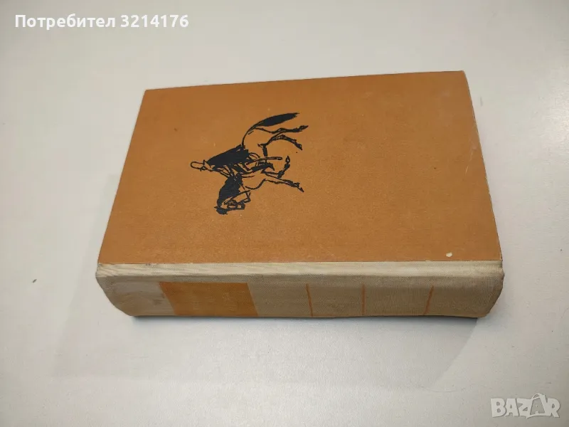 Панаир на суетата - Уилям Мейкпийс Текери, снимка 1