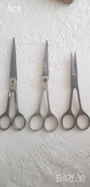 Ножици за подстригване Solingen, снимка 1