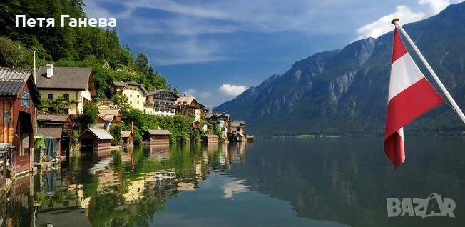 Работа в Австрия за социални асистентки, снимка 1