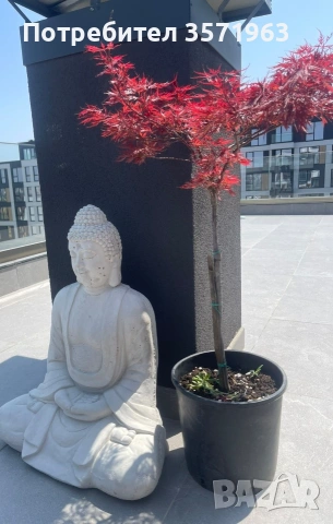 Буда декорация за двор/градина буда
