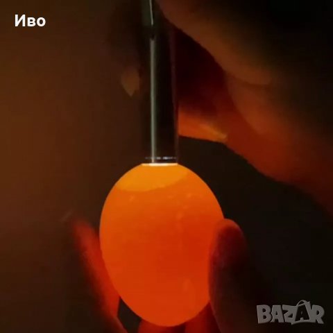 Проверка на яйца , снимка 5 - За птици - 39764876