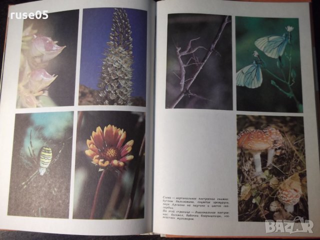 Книга "Путишествие в удивительный мир-Ю.Аракчеев" - 144 стр., снимка 6 - Енциклопедии, справочници - 35778534