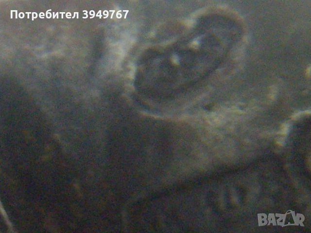 Две влюбени птички., снимка 6 - Романтични подаръци - 52571732