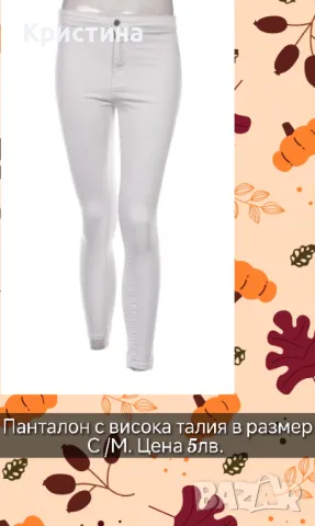 Дамски панталон , снимка 1