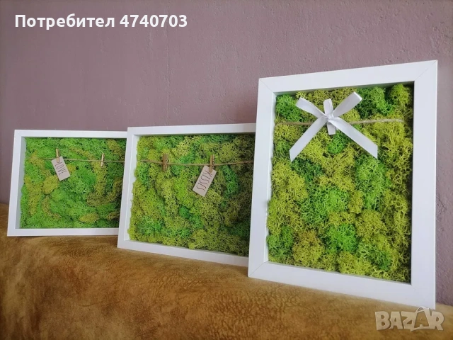 Декоративно пано от скандинавски мъх