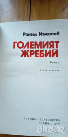 Големият жребий - Рангел Игнатов, снимка 3 - Българска литература - 51238086