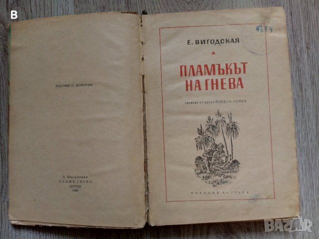 Пламъкът на гнева - Е. Вигодская, снимка 2 - Художествена литература - 41211269