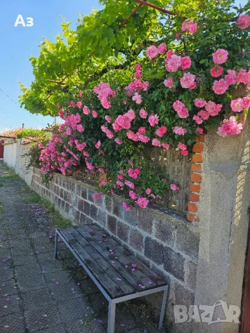 Продавам без Агенции! Две къщи в общ парцел. с. Борец.30км.от Пловдив, снимка 3 - Къщи - 50405102