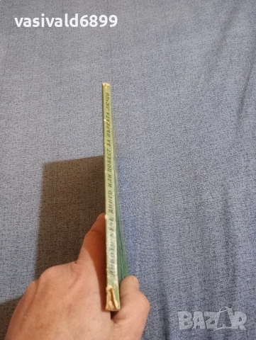 Фраерман - Дивото куче динго , снимка 2 - Художествена литература - 52953376