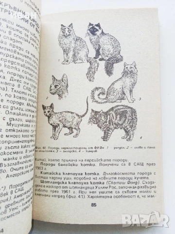 Знаете ли всичко за котката - Веселин Денков - 1992г., снимка 3 - Енциклопедии, справочници - 53354766