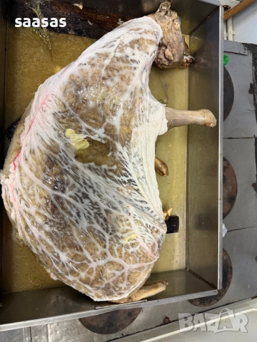 Печени агнета и прасета, снимка 9 - Кетъринг - 50568164