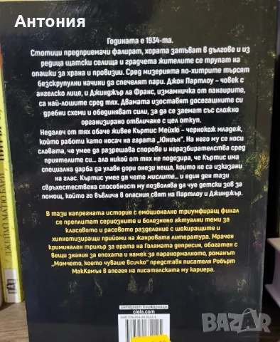 Момчето,което чуваше всичко , снимка 2 - Художествена литература - 48683425