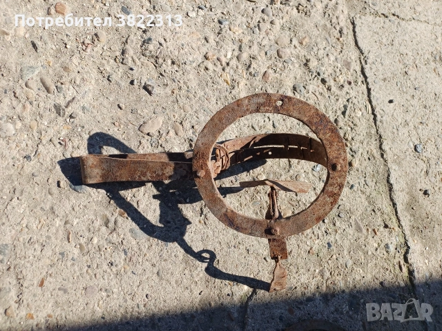 Капан голям за хишници, снимка 3 - Антикварни и старинни предмети - 53793625