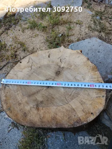 Орехови трупчета , снимка 3 - Други - 47603409