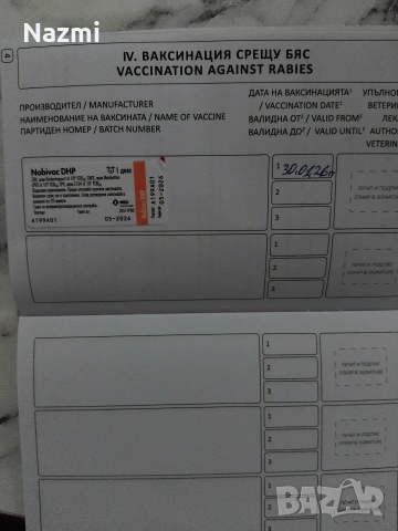 продавам женски пинчер , снимка 5 - Пинчер - 53598255