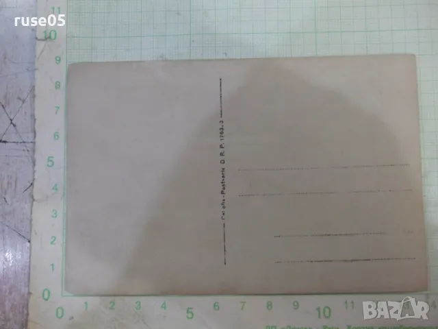 Снимка стара на група младежи пред водопада - 1, снимка 2 - Колекции - 47905477