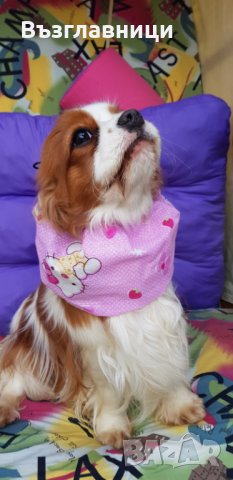 Снуд за кучета за предпазване, снимка 10 - За кучета - 35984279