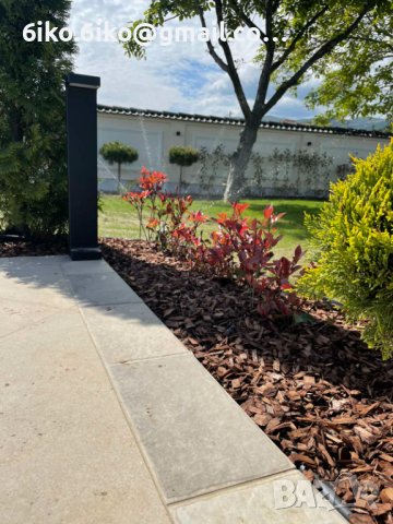 Дървесен мулч , снимка 15 - Градински цветя и растения - 44477691