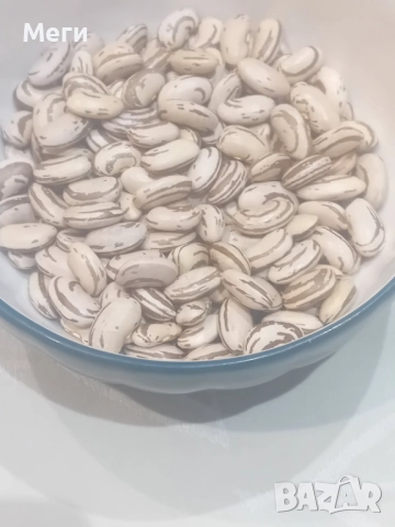 Домашно отгледан шарен боб - реколта 2025. Без химия - произведен за линча употреба, снимка 3 - Домашни продукти - 52792919