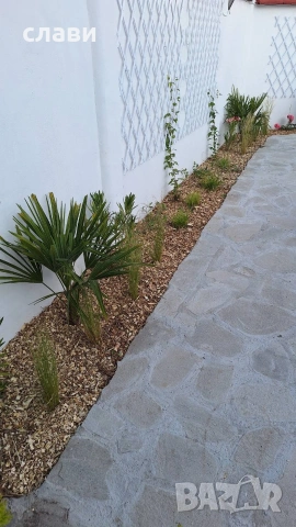 Дървесен чипс / Мулч / Черница , снимка 13 - Оранжерии - 53778872