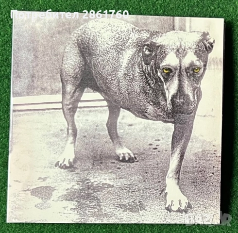 Нови Грамофонни Плочи Alice In Chains