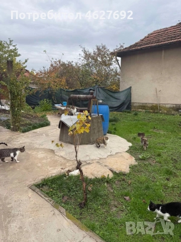 Къща с.Рогозен, снимка 13 - Къщи - 52377990