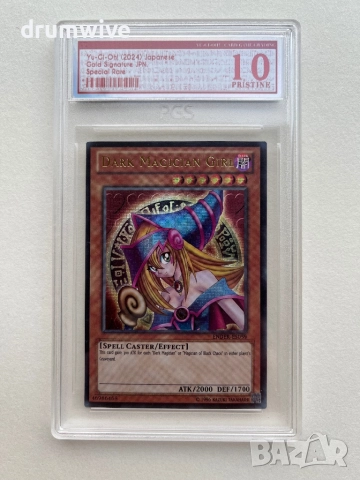 Dark Magician Girl Yu-Gi-Oh! Card