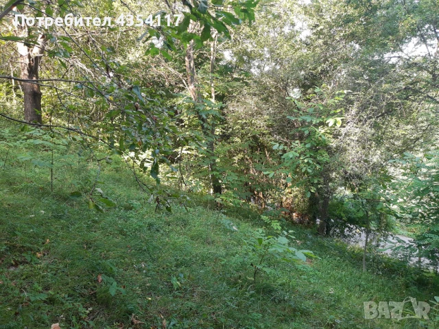 Продавам урегулиран парцел в село Балани, област Габрово, снимка 4 - Парцели - 50905937