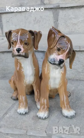 Италианска Композиция Боксери