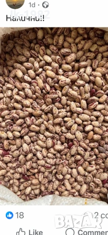 Шарен боб от Родопите , снимка 3 - Хранителни добавки - 51207837