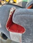 Детско столче за кола Recaro Young sport 9-36 kg, снимка 8