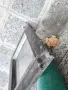 Продавам 2 бр. алуминиеви прозоречни крила, снимка 2