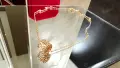 Van Cleef & Arpels VCA Rose Gold Perlee Clover Diamond Alhambra Дамско Колие, снимка 6