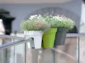 Саксия за цветя Lofly Railing, снимка 1