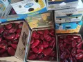 Продавам Червена капия Слоново Ухо., снимка 5