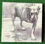 Нови Грамофонни Плочи Alice In Chains, снимка 1