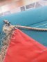 Старо флагче от Швейцария, снимка 2